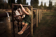 Introductory Horsemanship November 22,2025- December 20,2025